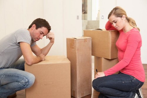Eco-friendly packing materials used by Fulham Storage