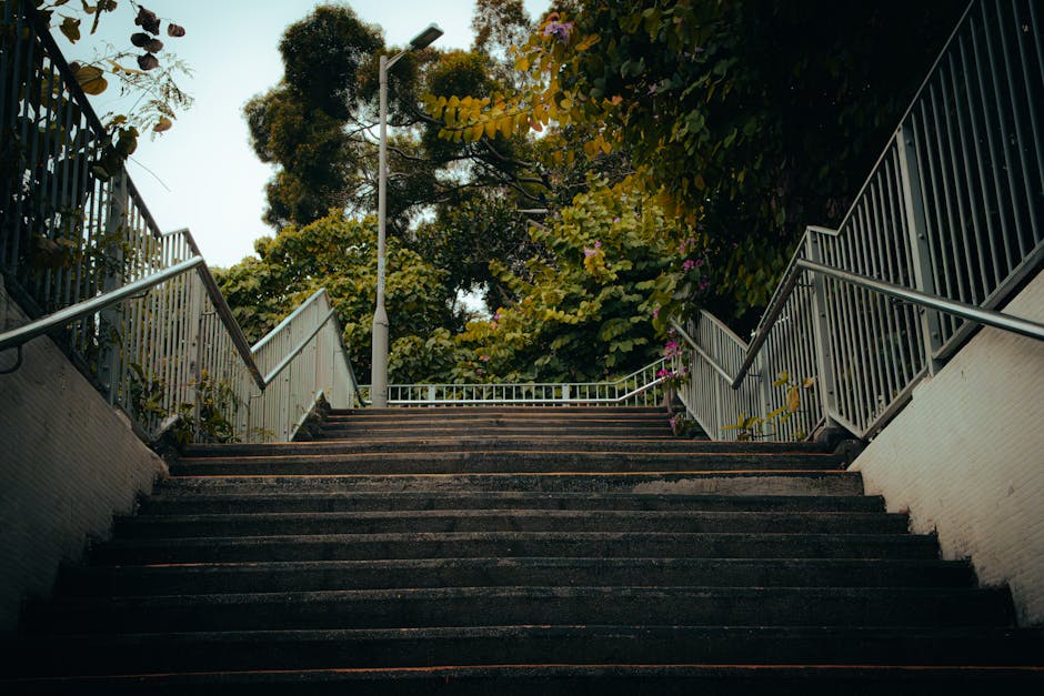 Inside a building, a downward view of a staircase leading to an underground level is visible, with wooden steps and dark gray carpeted treads. The staircase is flanked by polished metal walls with ref